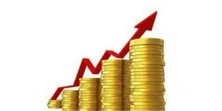 Groei en uitdagingen in de IT-sector binnen private equity in 2024